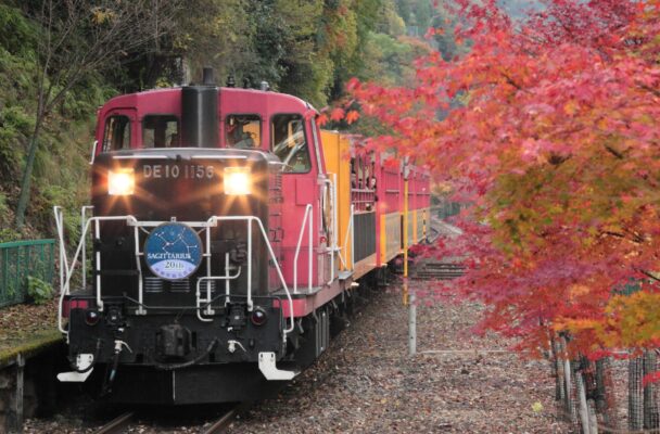 Arashiyama & Sagano