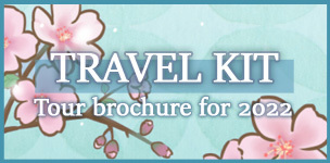 Travel Kit