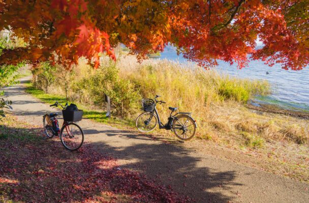 Bicycles