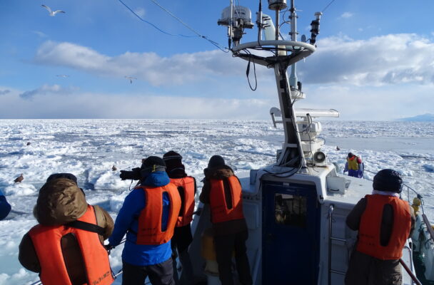 Drift Ice & Bird Watching Cruise