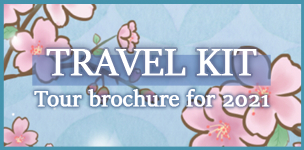 Check NTA brocure Travel Kit